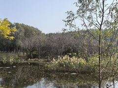 -东郊湿地公园