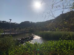 -飞凤山奥体公园