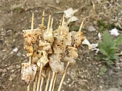 -辫叔小烤串