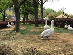 -无锡动物园·太湖欢乐园