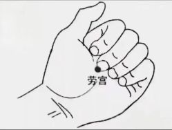 -YESIDO椰岛美容