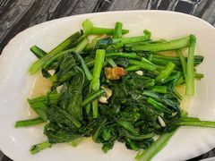 猪油渣菜心-美极鲜食坊(宝安南路店)
