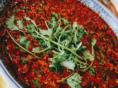 -胖大姐黄辣丁鱼庄(新津店)