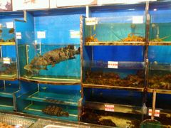 -大宁国际商业广场-地下停车库