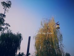 -茯茶镇