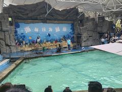 -合肥野生动物园