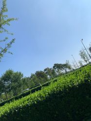 -HEYAN荷妍专业脱毛连锁机构