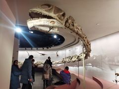 -自贡恐龙博物馆