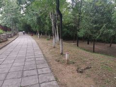 -云岗森林公园