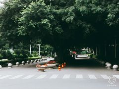 -福建省奥林匹克体育中心-体育馆