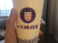 -一只酸奶牛(八一路店)