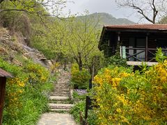 -北京水岸山吧度假村(雁栖镇店)