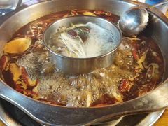 -金鼎雪山牦牛杂火锅(理县总店)