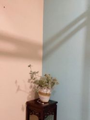 点击看大图 -香秀空间科技抗衰·美容中心
