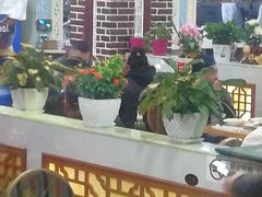-西北朗益和穆斯林餐厅