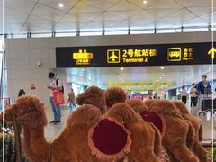 -郑州新郑国际机场