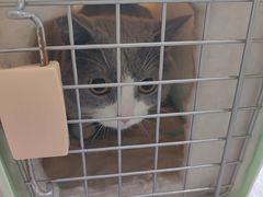 -心仪动物医院·牙专科·肿瘤·心脏科(西客站院)