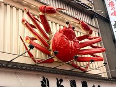 -蟹道乐(道顿堀本店)