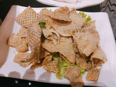 -掂档潮汕牛肉火锅(沈阳万象城店)