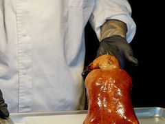 -宫燕府·京菜·烤鸭·淮扬菜(王府中心店)