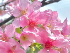 -文华公园(禅城区)