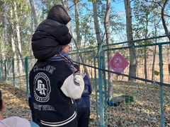 -北京麋鹿生态实验中心