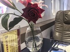 -法兰度航空主题餐厅(台山昌大昌店)