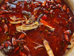 -青城甲(青城山店)