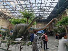 -国家自然博物馆