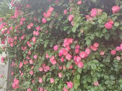 -上海虹桥国际机场