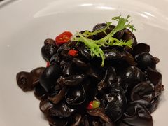 酸辣木耳-宝燕壹号(长寿店)