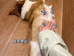 -和它·交个朋友·狗咖猫咖(爱琴海店)