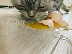 -盒马鲜生(大行宫店)