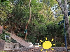 -紫金山山顶公园