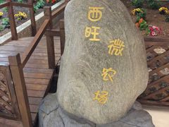 -开元商城(西旺店)