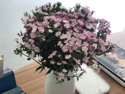店内环境-联合丽格·张菡丽格医疗美容