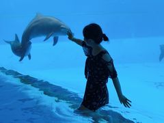 -横琴湾水世界