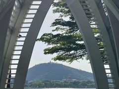 -顺峰山公园