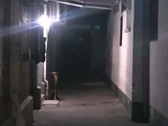 -永兴餐厅(复兴中路店)