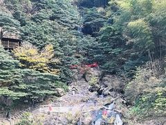 -长谷洞天