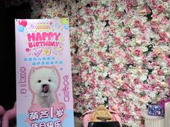 -百好乐宠物友好餐厅(朝外大街店)