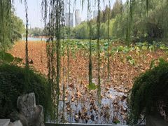 -包公祠