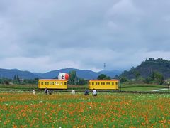 -径山花海