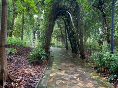 -武吉知马自然保护区