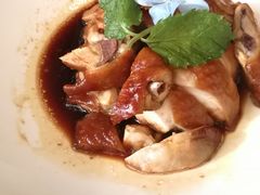 豉油鸡-南山鲜虾面·活鲜小馆·海味大连菜(南山总店)