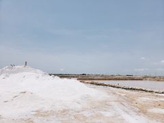 -莺歌海盐场