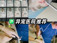 -悦宠动物医院(京丰分院)