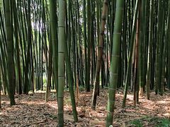 -汇龙潭