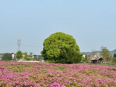 -良渚古城遗址公园