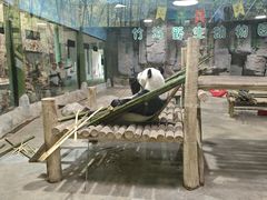 -栾川竹海野生动物园